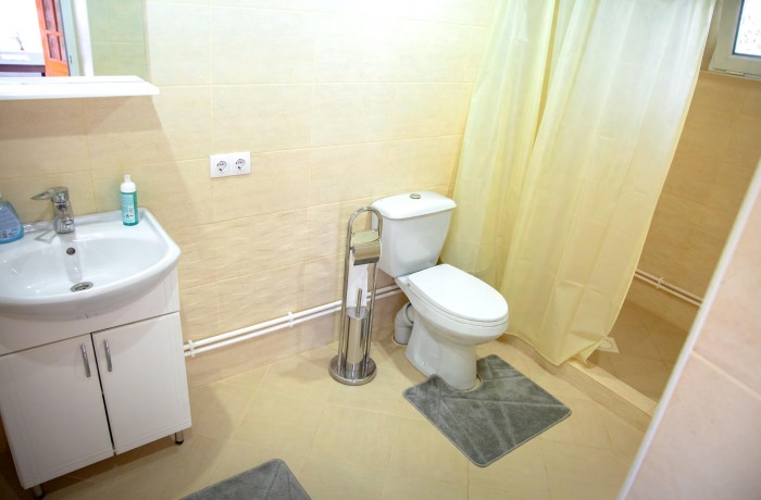 Rural house “Albinuta” - photo 3