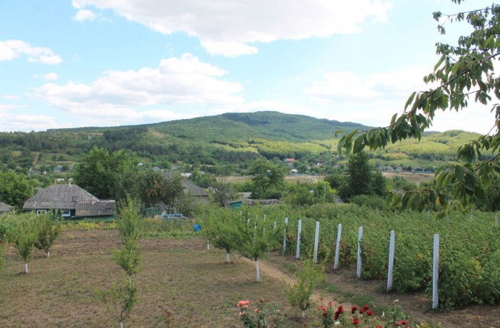 Rural house “Casa rustica” - photo 2