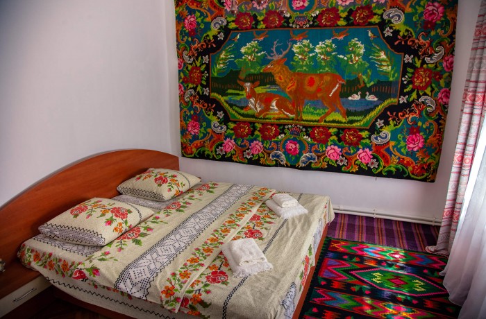 Guesthouse ”Casa din Luncă” - photo 4