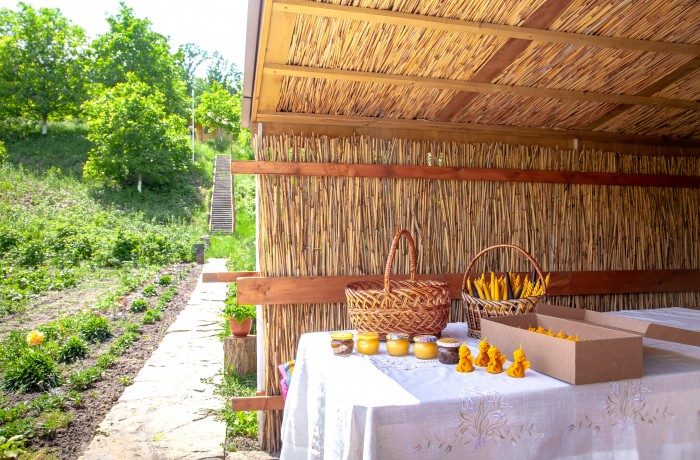 Rural house “Albinuta” - photo 4
