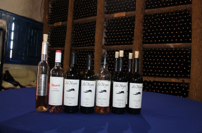 Asconi Winery - photo 5