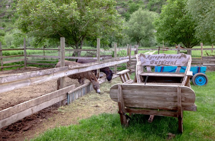 “Eco Resort Butuceni” tourist complex - photo 4