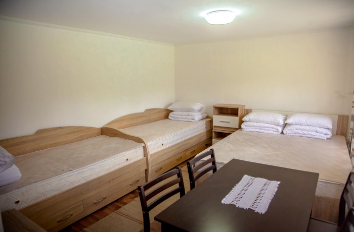 Rural house “Albinuta” - photo 2