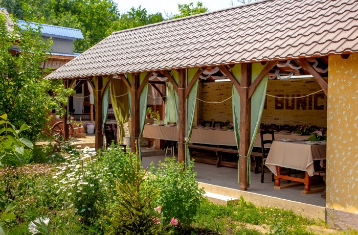 Rural house “La Bunica” - photo 4
