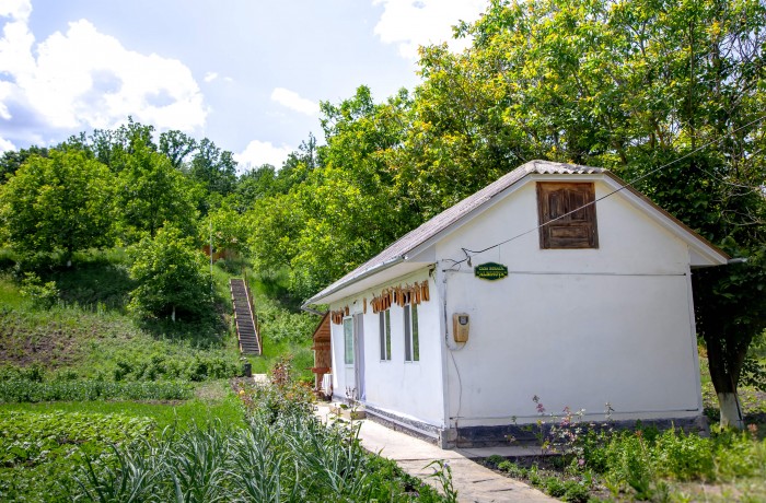 Rural house “Albinuta” - photo 1