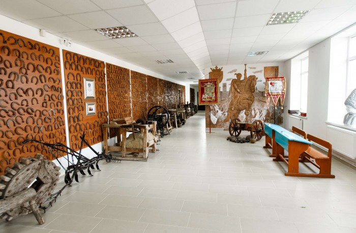 Petru Costin Gallery collections of the Ialoveni District Council - photo 3