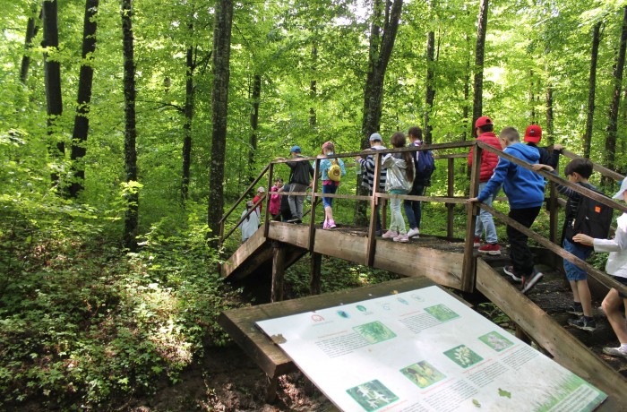Group trip to the State Nature Reserve "Plaiul Fagului" - photo 2