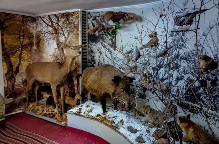 Edinet County Museum, Edinet city - photo 2