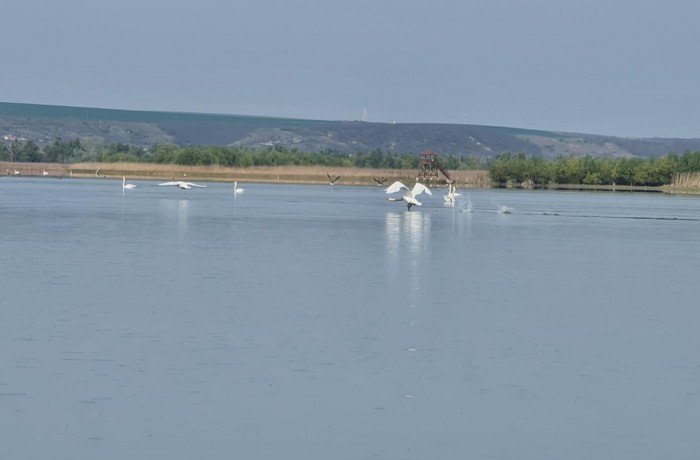 Excursie de grup ”Prutul de Jos-colț de RAI la colț de Țară!” - photo 5