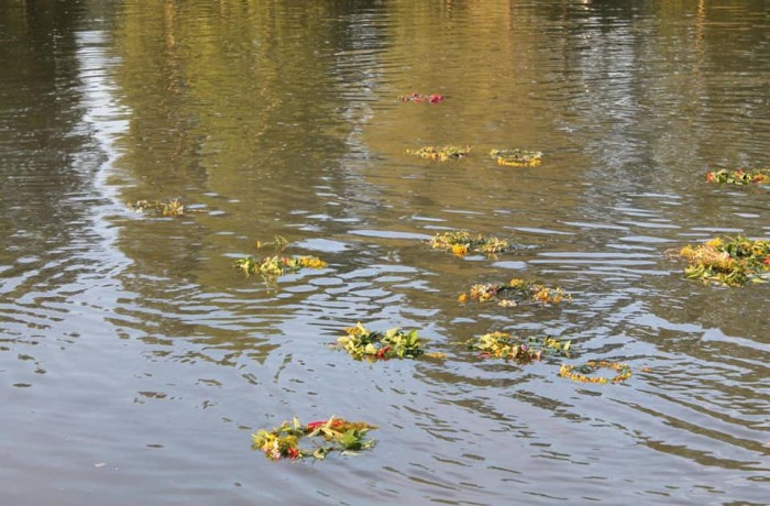 Excursie de grup ”De Sânziene în Zona Călărașului” - photo 5