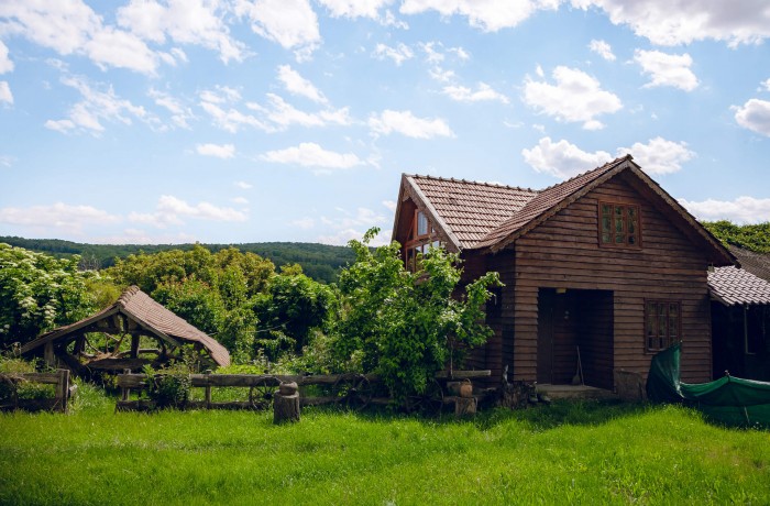 Parents' House, Palanca village, Calarasi - photo 4