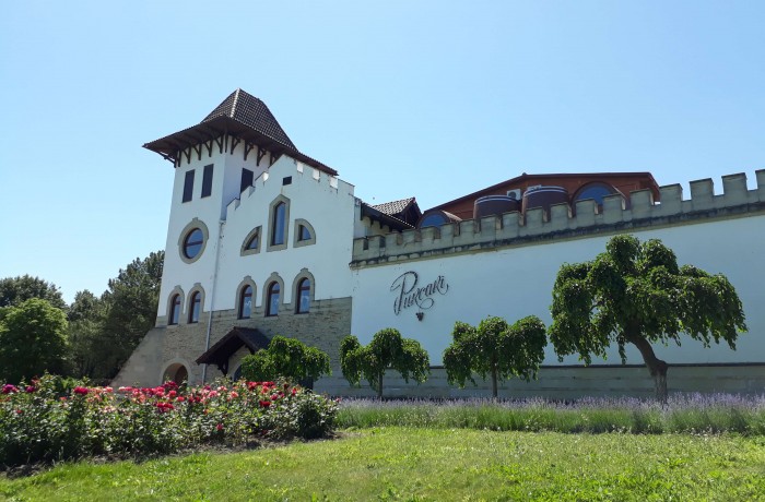 Complexul turistic Chateau Purcari - photo 3