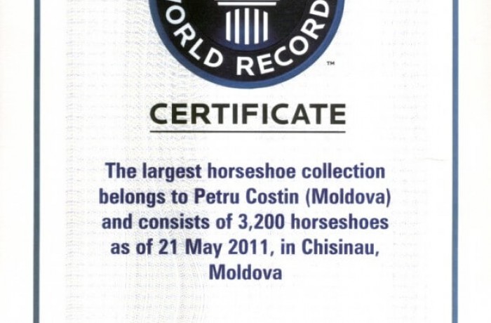 Petru Costin Gallery collections of the Ialoveni District Council - photo 2
