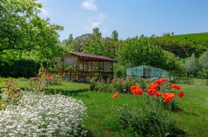 Guesthouse  „Vila Roz” - photo 1