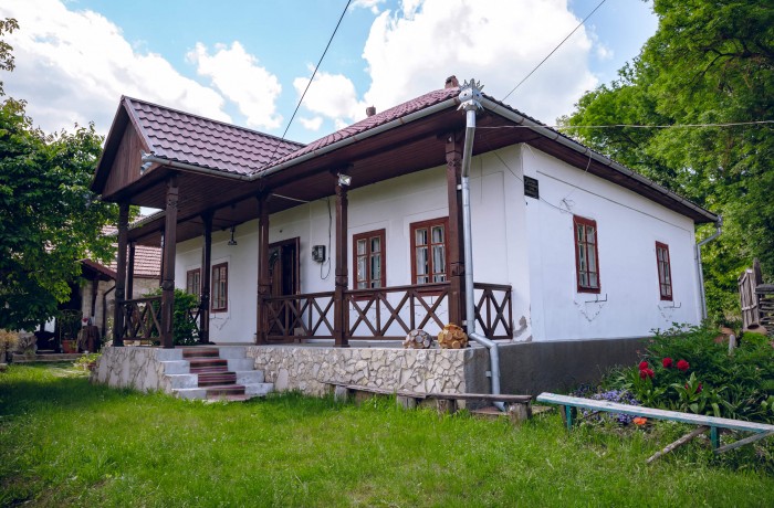Parents' House, Palanca village, Calarasi - photo 1