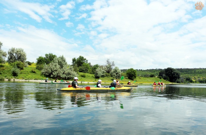 Kayak tour on the Dniester River - photo 1
