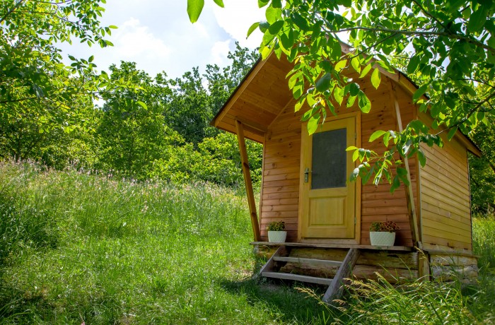 Rural house “Albinuta” - photo 6