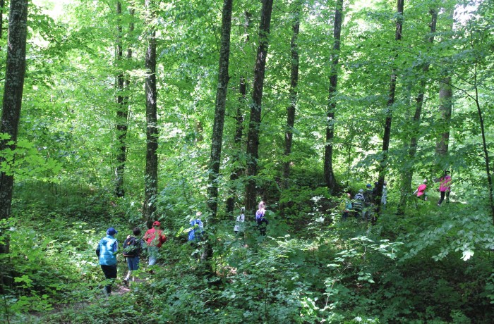 Group trip to the State Nature Reserve "Plaiul Fagului" - photo 3