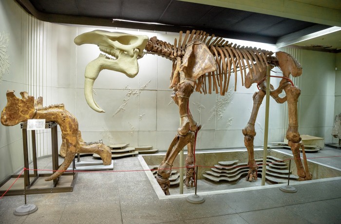 National Museum of Ethnography and Natural History - photo 4