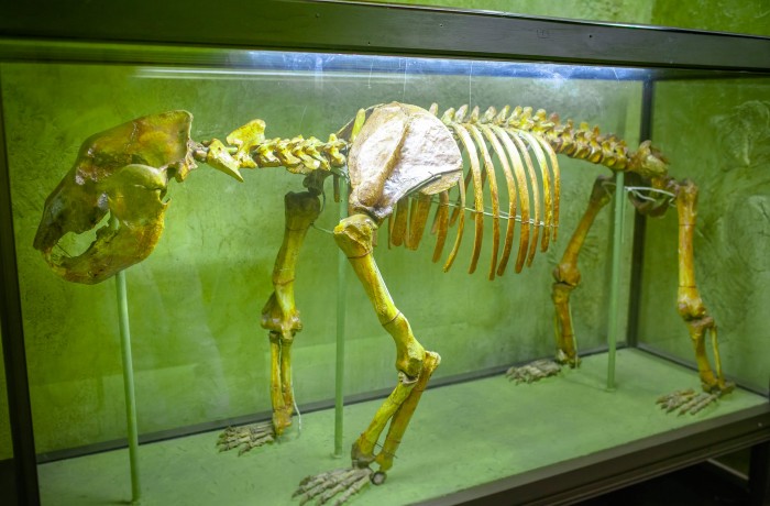 National Museum of Ethnography and Natural History - photo 8