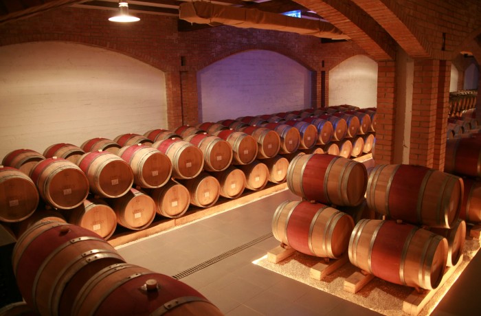 Chateau Vartely - photo 4