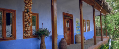 “Casa dorului” complex