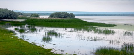 Excursie de grup ”Prutul de Jos-colț de RAI la colț de Țară!”