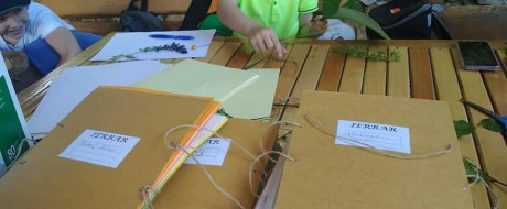 Visit with ecological class and workshop for making a herbarium