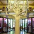 National Museum of Ethnography and Natural History - photo 2
