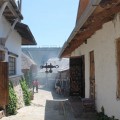 Asconi Winery - photo 4