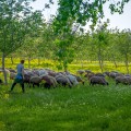 Vernisaj în atelierul de sculptură al Naturii - photo 3