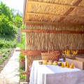 Rural house “Albinuta” - photo 4