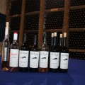 Asconi Winery - photo 5