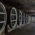 Комбинат Качественных Вин "Милештий Мичь" - photo 2