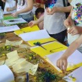 Visit with ecological class and workshop for making a herbarium - photo 2