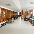 Petru Costin Gallery collections of the Ialoveni District Council - photo 3