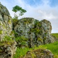 Vernisaj în atelierul de sculptură al Naturii - photo 6