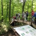 Group trip to the State Nature Reserve "Plaiul Fagului" - photo 2