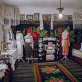 Parents' House, Palanca village, Calarasi - photo 7