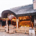 “Gagauz Sofrasi” ethnotourism complex - photo 1