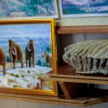 Edinet County Museum, Edinet city - photo 3