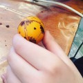 Easter egg making workshop - photo 3