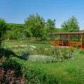 Guesthouse  „Vila Roz” - photo 8