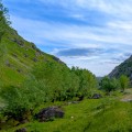 Vernisaj în atelierul de sculptură al Naturii - photo 7