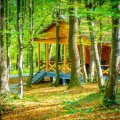 Bahmut Club - photo 1