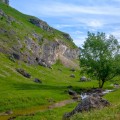 Vernisaj în atelierul de sculptură al Naturii - photo 5