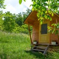 Rural house “Albinuta” - photo 6