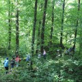 Group trip to the State Nature Reserve "Plaiul Fagului" - photo 3