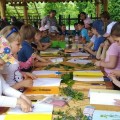 Visit with ecological class and workshop for making a herbarium - photo 4