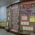 Museum of History and Ethnography, Slobozia Mare village, Cahul - photo 5